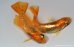 画像3: H-1023  オレンジタイプ　黒バラ蝶 （ヒカリ体型）Lサイズ　１ペア