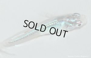 画像4: H-1190  レア★グリーンシャドー   （普通体型） Mサイズ　１ペア