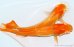 画像4: H-2148  濃いオレンジ　アルビノ （ヒカリ体型） Lサイズ　１ペア (4)