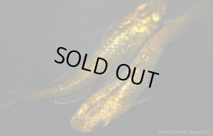 画像7: H-2569 希少★マリーゴールド★　（ヒカリ体型）Mサイズ　１ペア