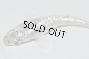 画像7: H-3552  月虹＜スパンコール＞ （ヒカリ体型）Lサイズ  １ペア