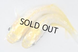 画像6: H-3834  NEW！　レモンスカッシュメタル （ヒカリ体型）　LMサイズ  １ペア