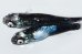 画像5: H-4263　 　ブルー牡丹　ブラックストーム　（普通体型） Lサイズ  １ペア (5)
