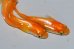 画像4: H-4341　秋の収穫祭　　オレンジメタル（ヒカリ体型）  　Lサイズ  3匹 (4)