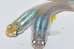 画像5: 春80　　　ブラックオパールシャドー（普通体型） 　Lサイズ  4匹