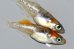 画像7: 春132　 　　　牡丹ティアラ（ヒカリ体型）ＬМサイズ  １ペア
