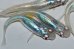 画像1: 春219　　　ブラックオパールシャドー（普通体型） 　LМサイズ  4匹 (1)