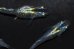 画像7: 419　虹彩変化強！宝鱗無双（ヒカリ体型）　Мサイズ  3匹