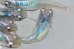 画像2: 418　ブラックオパールシャドー（普通体型）　LМサイズ  5匹 (2)