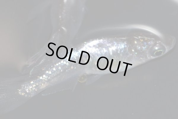 画像7: H-3890  魔王・改（ラメ・ヒカリ体型）Lサイズ・1ペア (7)