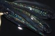 画像5: 春126　背びれ無し！　　スーパー魔王・改スペシャル（普通体型） 　LМサイズ  3匹 (5)