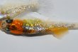 画像2: 春132　 　　　牡丹ティアラ（ヒカリ体型）ＬМサイズ  １ペア (2)