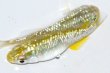 画像5: 春191　　ペリドット（普通体型）ＬМサイズ 1ペア (5)
