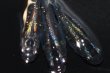 画像4: 204　　虹彩美麗！　スーパー魔王・改 （ヒカリ体型）　LМサイズ  3匹 (4)