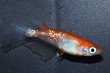 画像2: 242　ＮＥＷ!ヒレ長！花香翼・はなこうよく（普通体型） 　Lサイズ  1ペア (2)