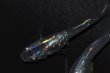 画像1: 419　虹彩変化強！宝鱗無双（ヒカリ体型）　Мサイズ  3匹 (1)