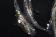 画像3: 542　サマーセール！虹彩美麗！宝鱗無双（ヒカリ体型）　Lサイズ  3匹 (3)