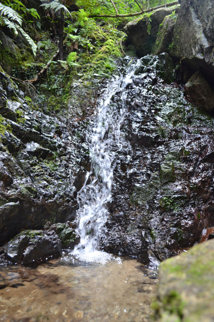 名水スポット