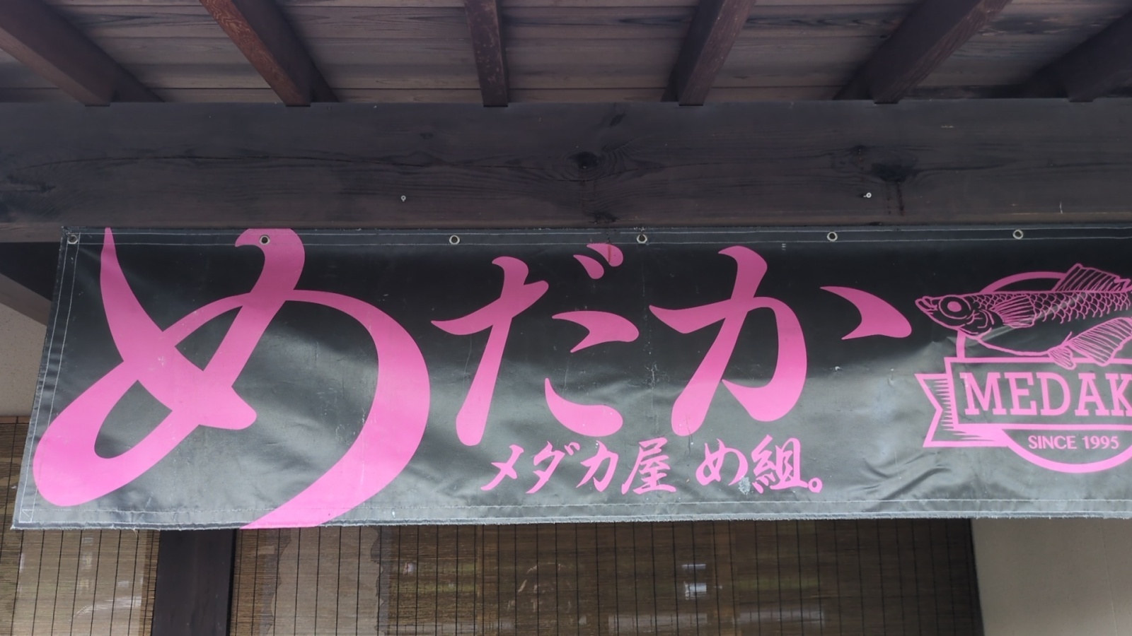 どんぐり村イベント！
